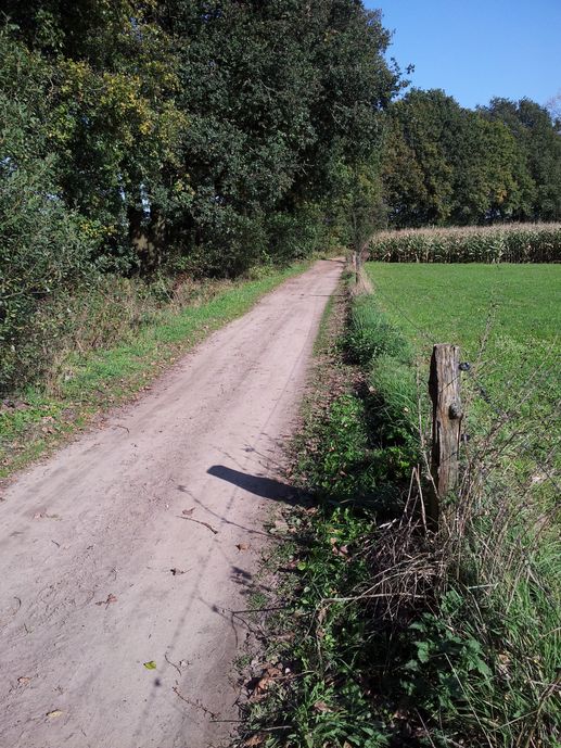 Added a photo to a location