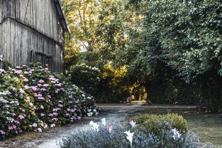 Camping des Hortensias