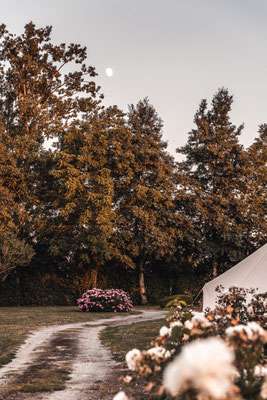 Camping des Hortensias