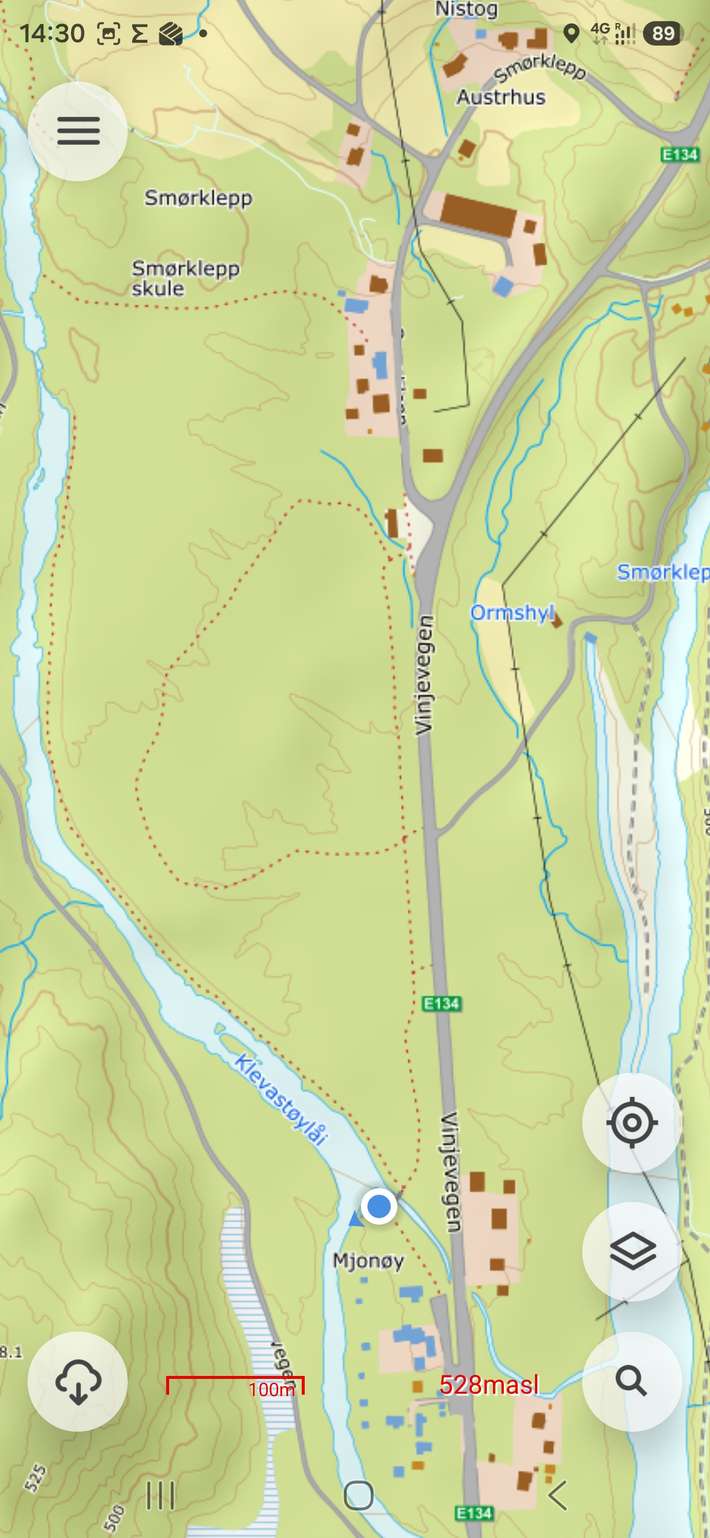Mjonøy