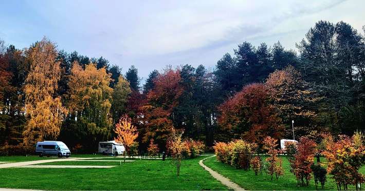 Bracelands Campsite