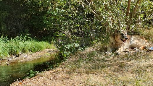 Aggiunta una foto a una posizione