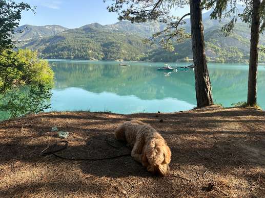 Aggiunta una foto a una posizione