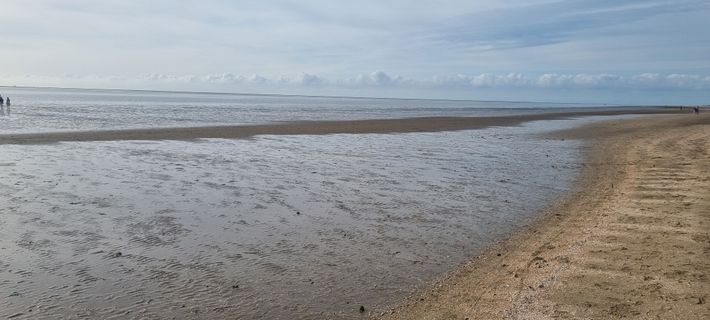 Molecaten Park Waterbos
