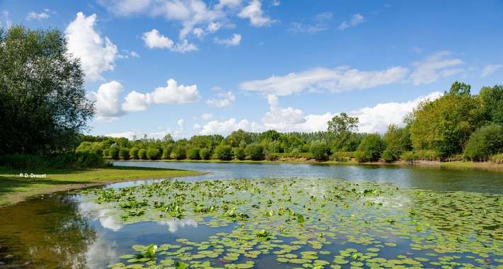 Camping de l'Orée des Boires
