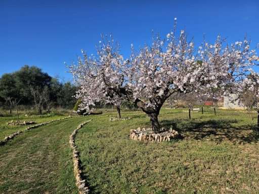 Finca Roberto