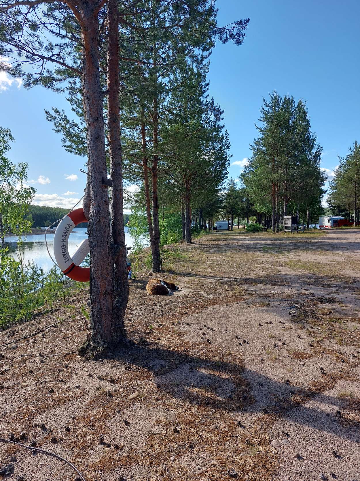 Laxede camping
