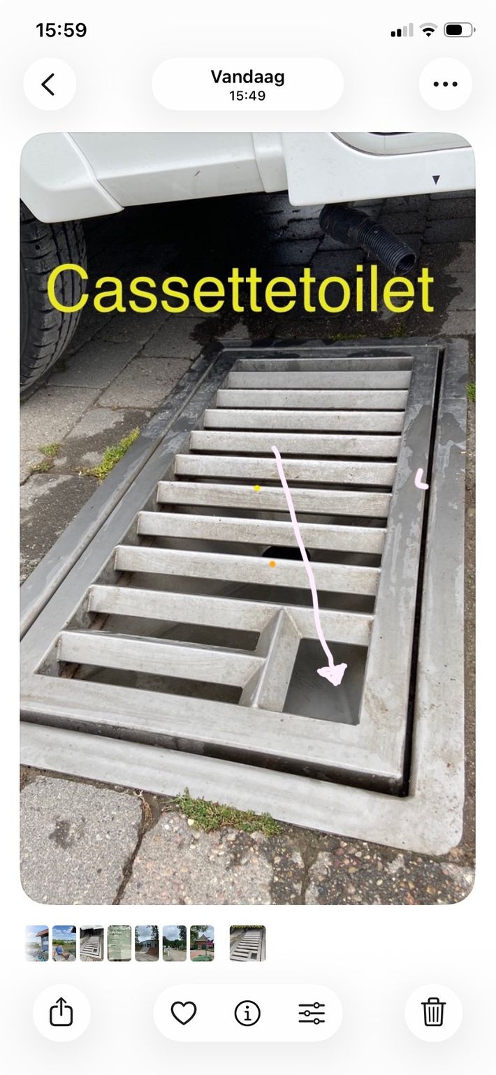 Auf dem Deich