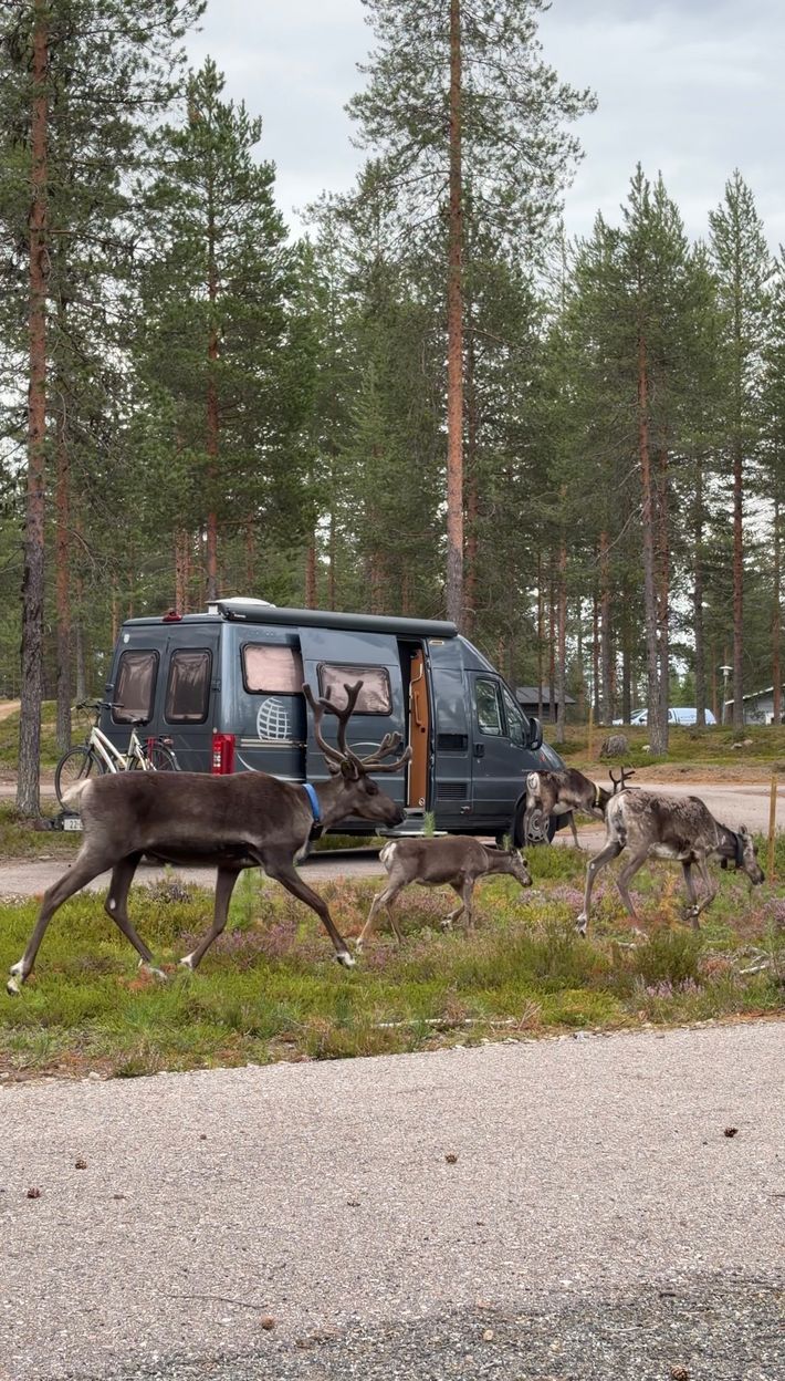 SF-Caravan Karhunkainalo Camping - Hossan Retkeilykeskus