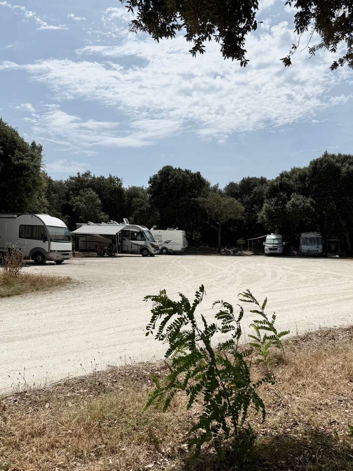 La Cotiniére