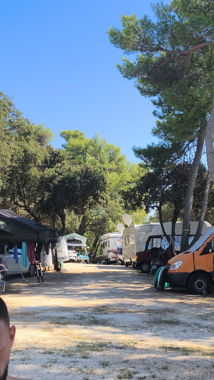 Camp Pineta