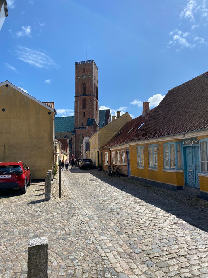 Storkesøen Ribe