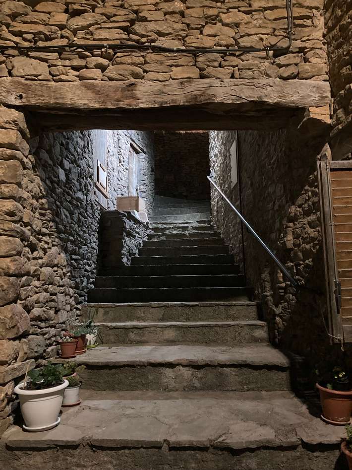 Castigaleu
