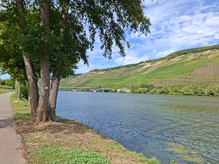 Weingut Feiten