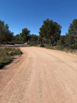 Añadió una foto a una ubicación