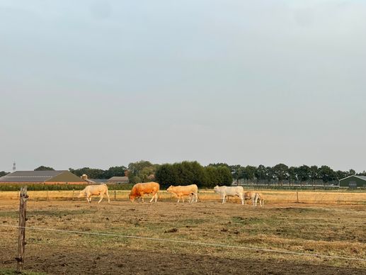 Een foto toegevoegd aan een locatie