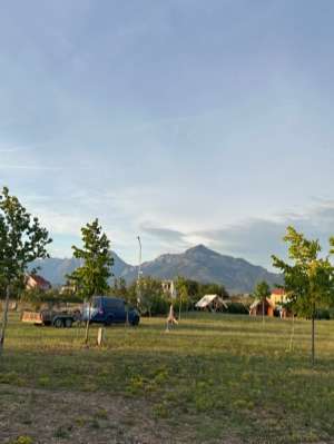 Treeolives campsite