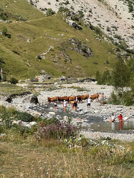 Aggiunta una foto a una posizione