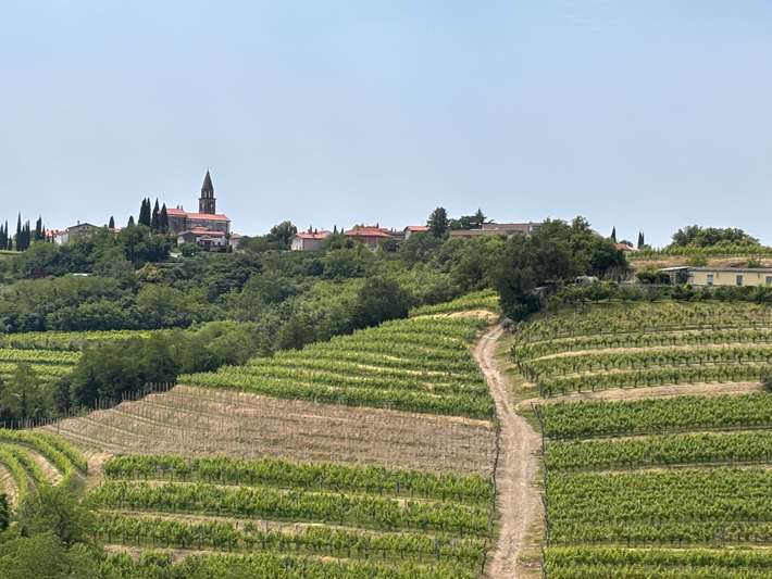 Sosolič winery