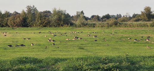 Aggiunta una foto a una posizione