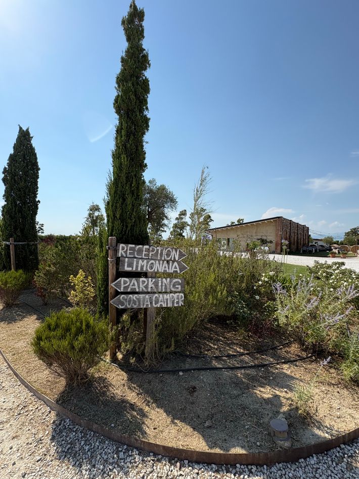 Fattoria L'Olmetto