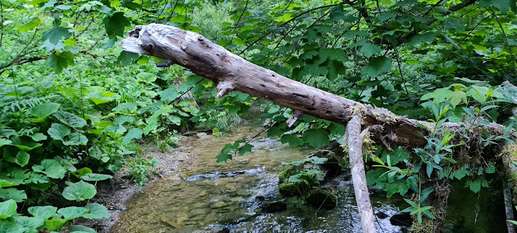 Added a photo to a location