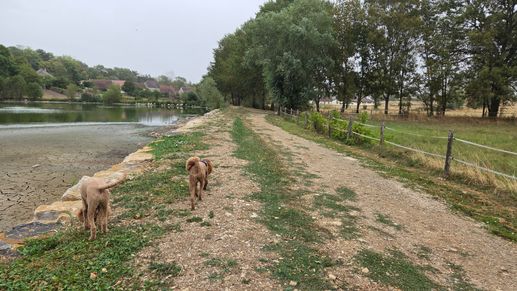 Added a photo to a location
