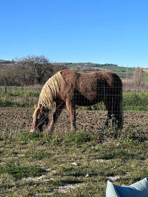 Aggiunta una foto a una posizione