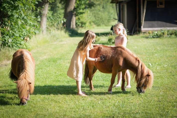 Camping Landrijk de Reesprong
