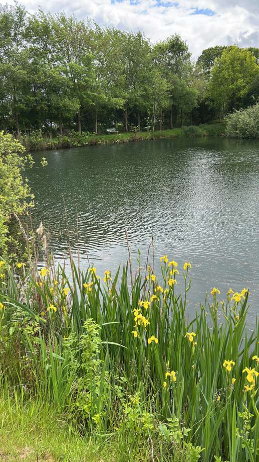 Een foto toegevoegd aan een locatie