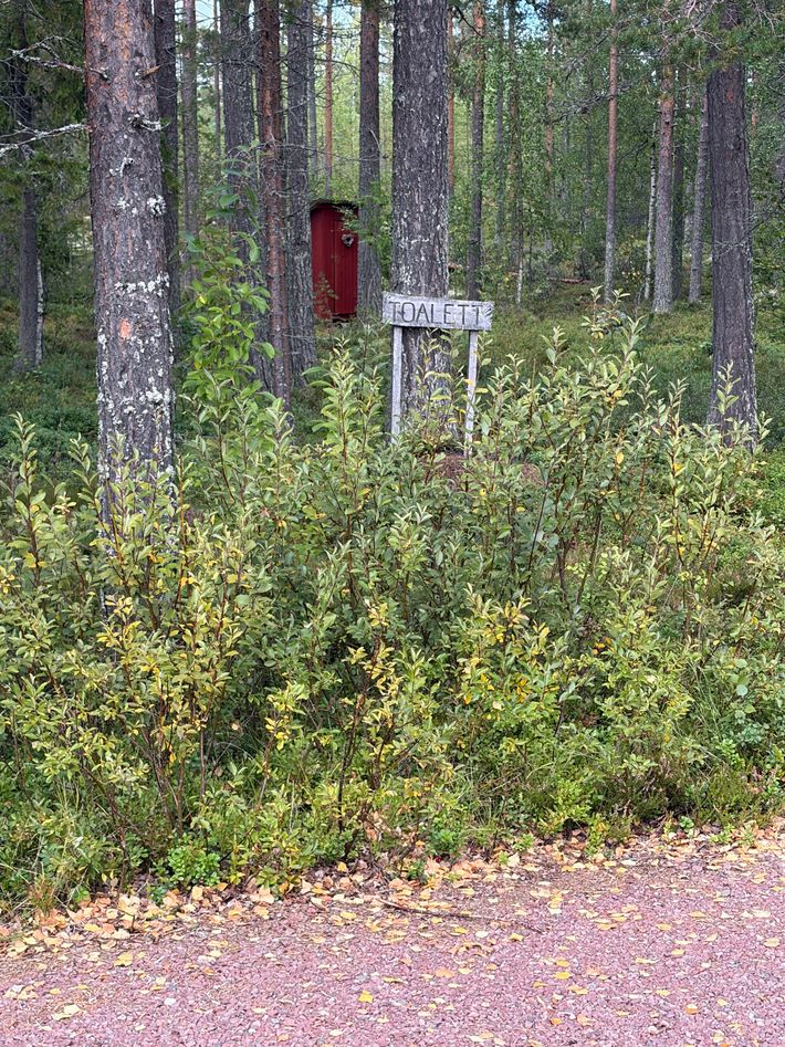 Lovnas naturrastplatsen