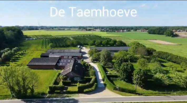 Taemhoeve