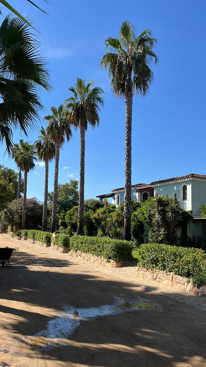 Camping Villaggio Cigno Bianco