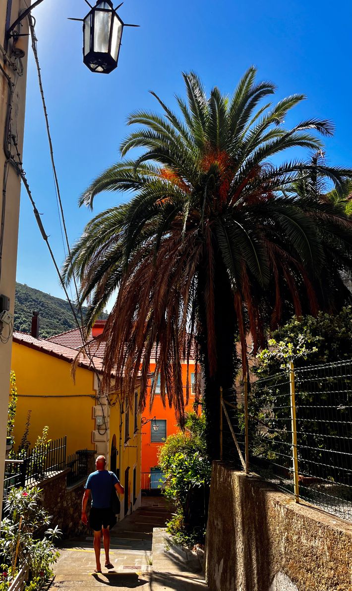 Camping degli Ulivi