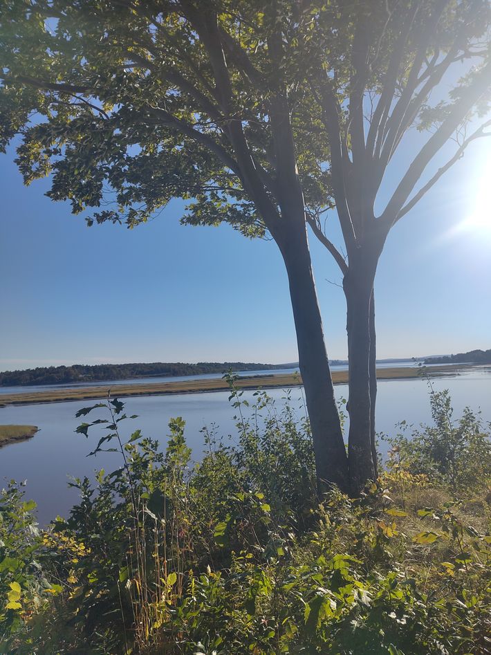 Harbour Light Campground