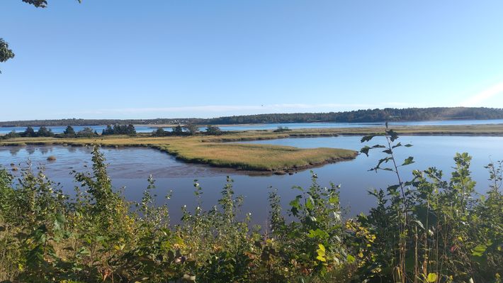 Harbour Light Campground