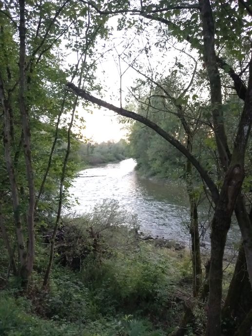 Added a photo to a location