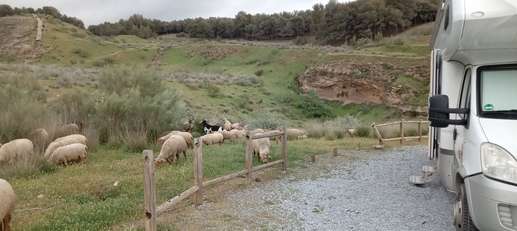 Added a photo to a location