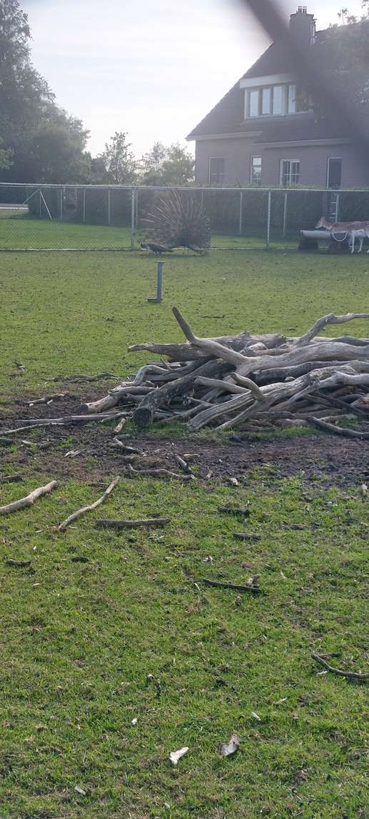 Een foto toegevoegd aan een locatie