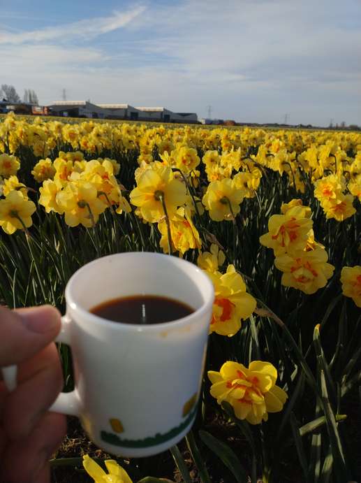 Een foto toegevoegd aan een locatie