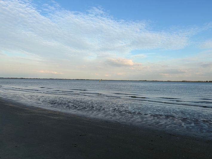 Scheldeoord, Ardoer camping