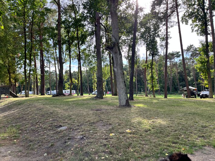 Forest Camp Miedzyzdroje