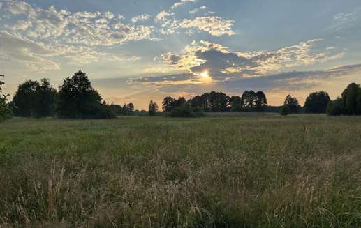 The Farm Wild Camping