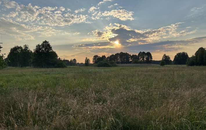 The Farm Wild Camping