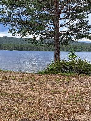 Älgtjärnen