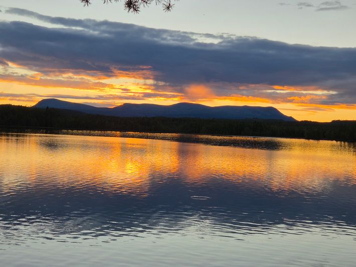 Älgtjärnen