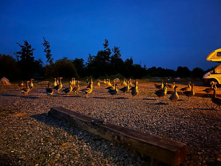 Aire camping-car park de Bray-sur-Somme