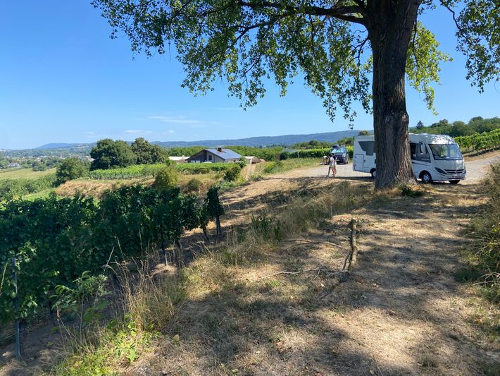 Weingut Weber