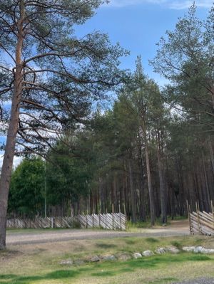 Camping Weistad