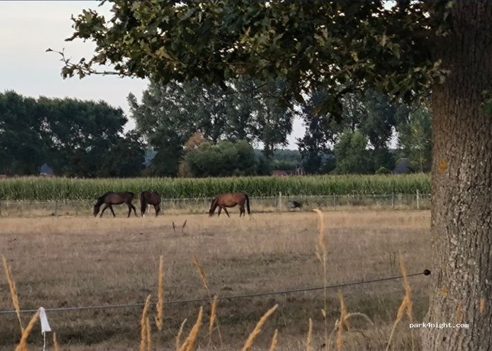 't Weitje